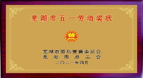 芜湖市五一劳动奖
